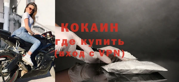 спиды Вяземский