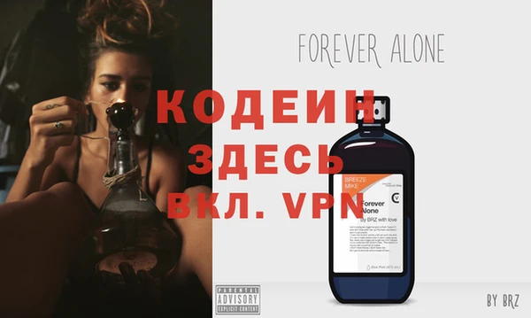 спиды Вяземский
