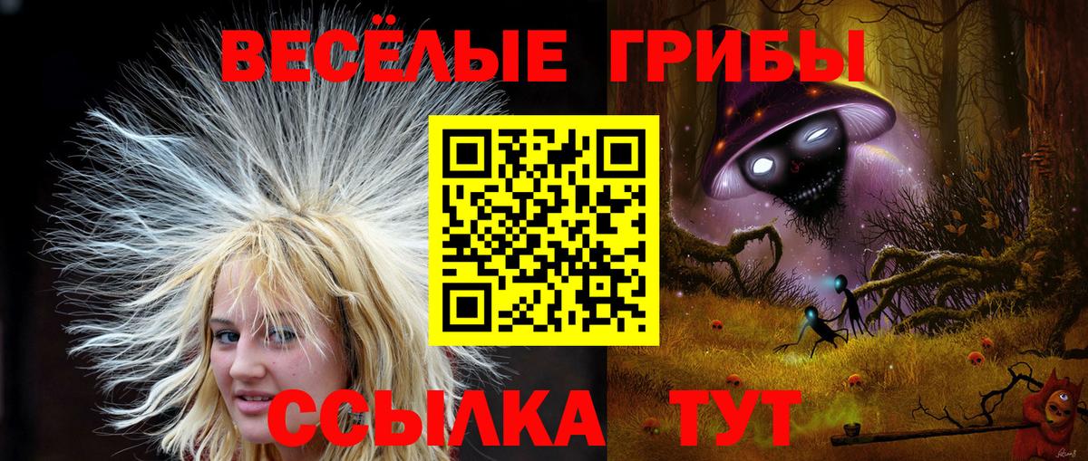 Галлюциногенные грибы Psilocybe Мариинск